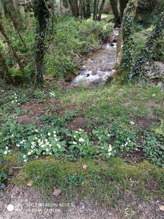 Costa Da Morte "Paraiso De Galicia" Ponteceso Екстер'єр фото
